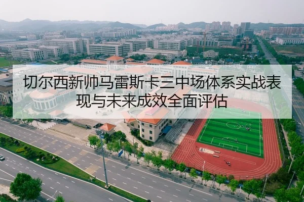 切尔西新帅马雷斯卡三中场体系实战表现与未来成效全面评估